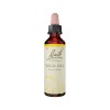 Bach Flower Remedies Wild Oat 20ml