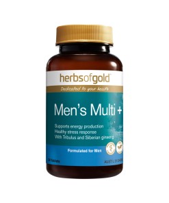 Herbs of Gold Men's Multi 30t